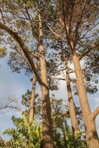 Four Pines Lodge Германус Екстер'єр фото